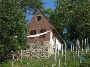 bauplanung_thueringen_weinberghaeuschen01